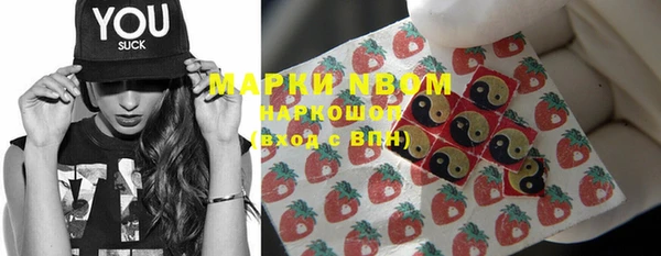 крисы Аркадак