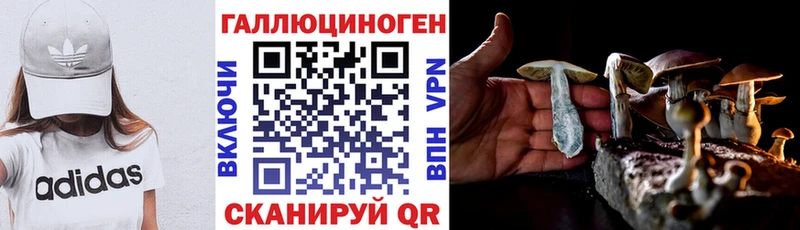Псилоцибиновые грибы прущие грибы  купить наркотик  Макарьев 